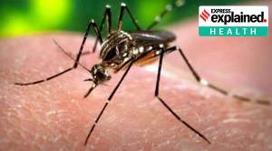 New research: Vaccine against 3 encephalitis viruses found safe, effective