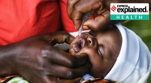 Mozambique confirms first wild poliovirus case in 30 years: What is it? How is it transmitted?