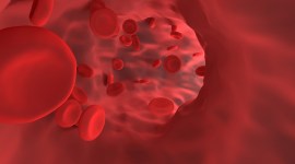 World Thalassemia day 2022