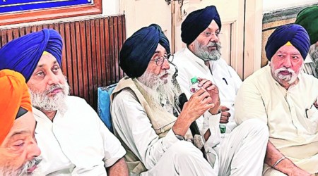 shiromani akali dal punjab politics