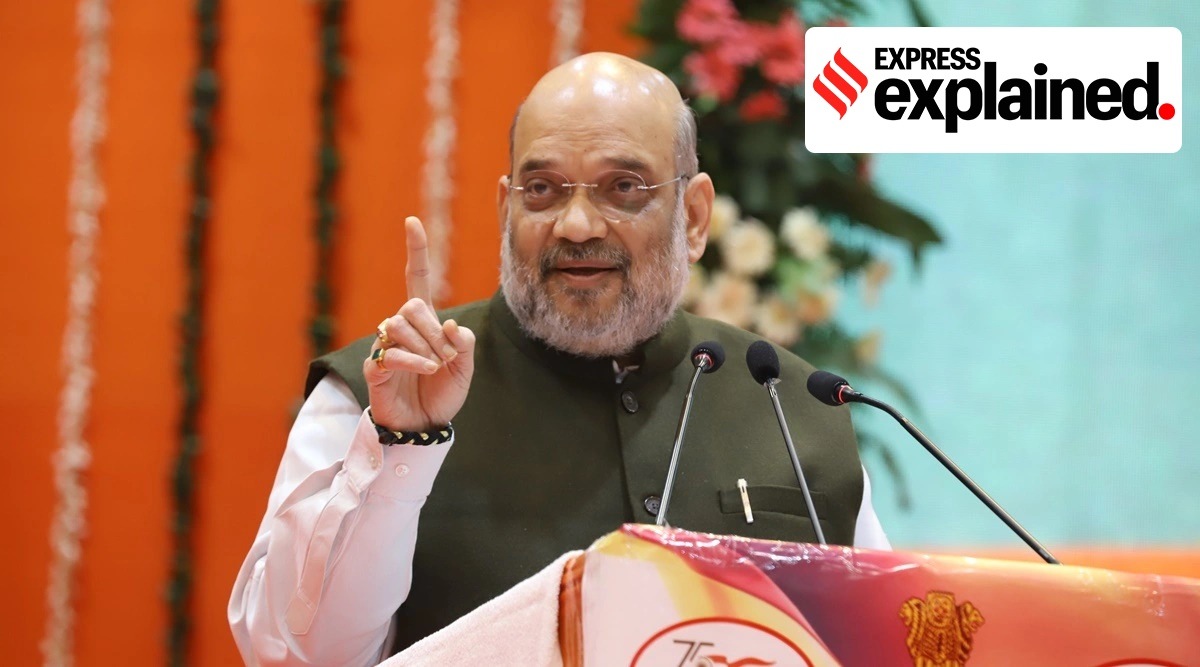 Union Home Minister Amit Shah. (File)