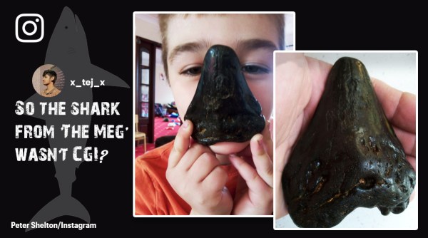Six year old finds extinct shart tooth, sicx year old in UK finds Megalodon tooth, 6 year old in UK finds millions of year old shark teeth, Indian Express