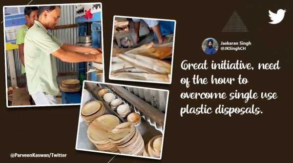 areca leaf utensils, areca leaf products, locally made supari leaf products, areca leaf sustainable products, Indian Express