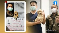 Bangkok cops 'charge' golden retriever for getting lost, mugshot of pup goes viral