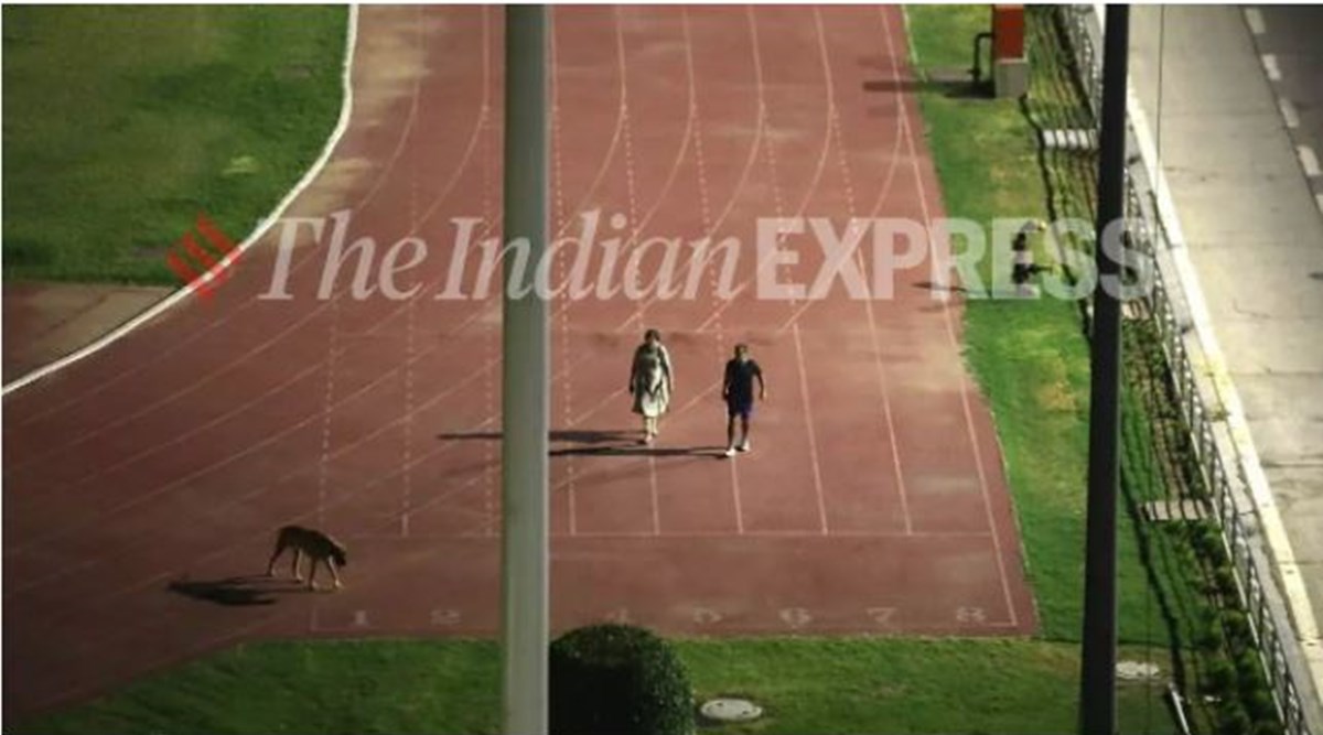 Arvind Kejriwal, Manish Sisodia, thyagraj stadium dog,Sanjeev Khirwar, IAS officer Sanjeev Khirwar, thaygraj stadium ias officer dog, delhi sports facilities timings, Arvind Kejriwal delhi sports facilities, Delhi Thyagraj Stadium, Sanjeev Khirwar, Thyagraj Stadium emptied for IAS officer, Sanjeev Khirwar walks dog at stadium, Sanjeev Khirwar thyagraj stadium,IAS officer walk with dog, Sanjeev Khirwar Thyagraj Stadium, Indian express report