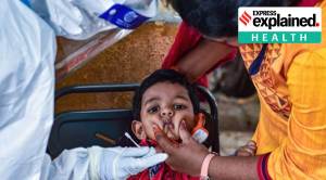 Explained: What is tomato flu, and who does it affect?