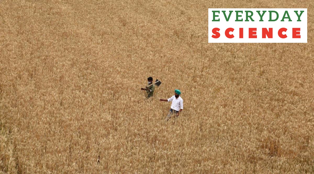 liquid nano urea plant farmers
