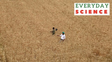 liquid nano urea plant farmers