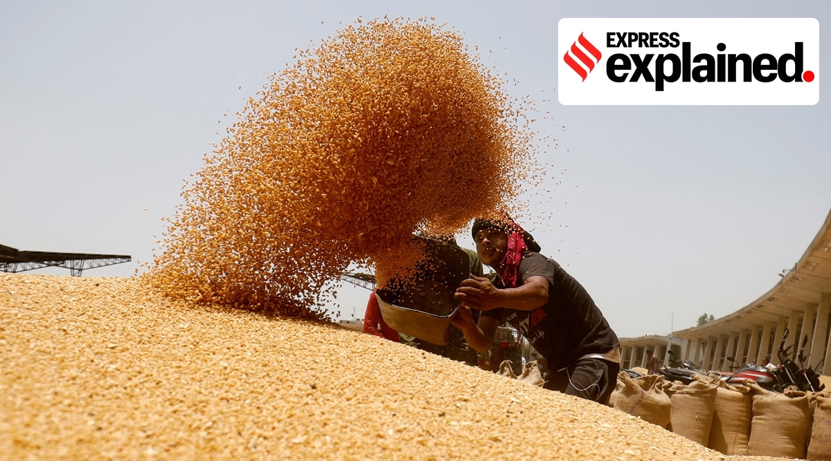 A worker sifts wheat before filling in sacks at the market yard of the Agriculture Product Marketing Committee on the outskirts of Ahmedabad, May 16, 2022. (Reuters) 