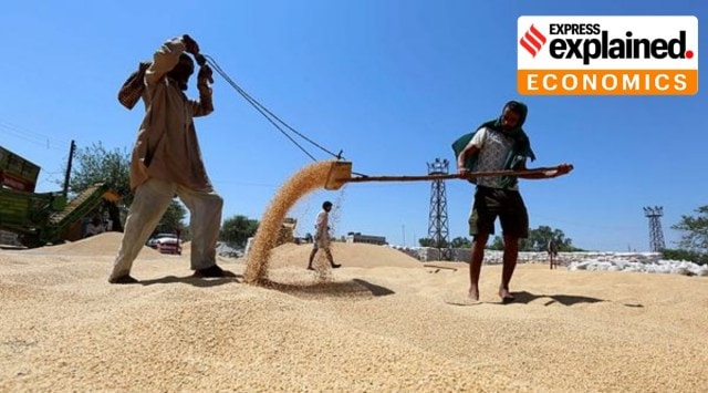 If the Government feels that the situation on the wheat front is so dire, it could have calibrated exports by putting some minimum export price (MEP). (Archives)