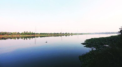 Yamuna river, Haryana, Chandigarh news, Chandigarh, Indian express, Indian express news, Punjab news