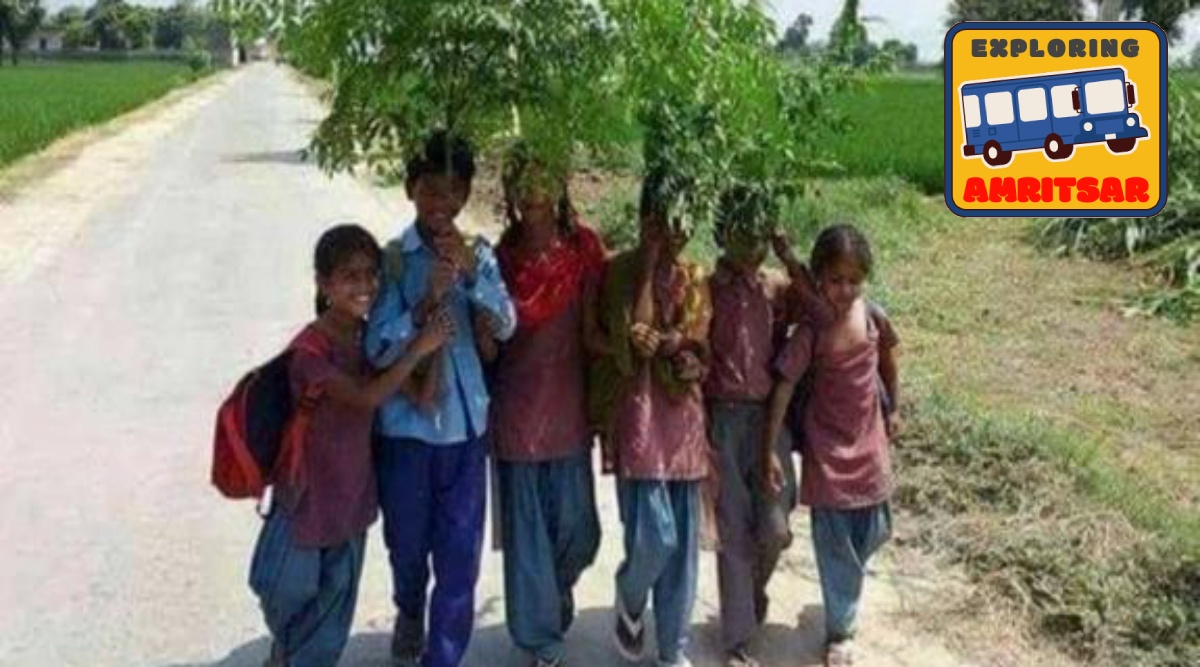 The town included more than 80 gardens, bagichis and baghs, those that constituted its environmental architecture. 