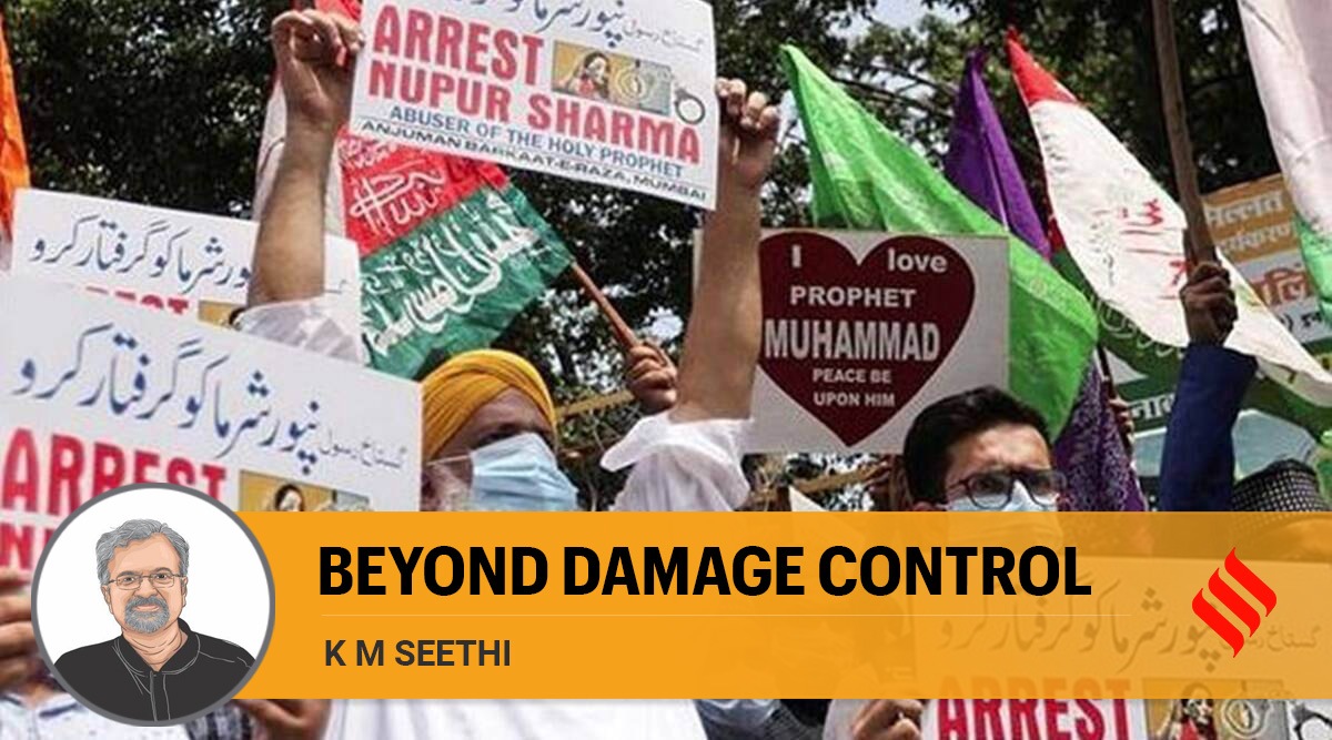 What apparently infuriated the regimes in the Muslim world, this time, was the text and context of the anti-Islamic slur. (Express Photo)