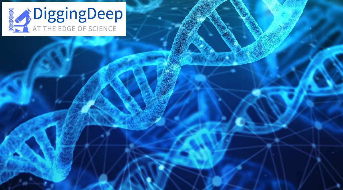 digging deep, science,