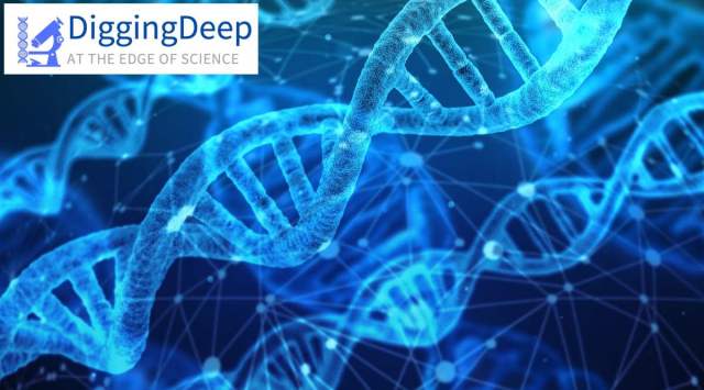 digging deep, science,