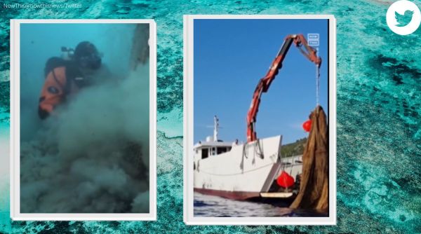 marine waste, waste in seabed, divers remove waste, marine life, fishing net, Greek island, divers remove seawaste, indian express