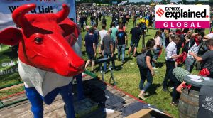 Explained: Why Dutch farmers are holding protests over emissions