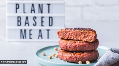 plant-based meat, research on plant-based meat, what is plant-based meat, how is plant-based meat prepared, vegetarian protein options, healthy eating, indian express news