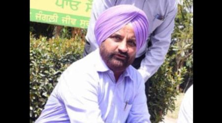 Mohali District Forest Officer (DFO) Guramanpreet Singh (File)