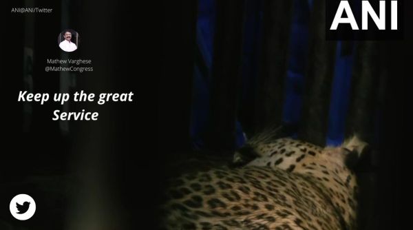 leopard rescue, leopard rescued from Mumbai school, leopard in Mumbai school, leopard video, indian express