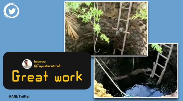 leopard rescue, Odisha leopard rescue, leopard climbs up ladder, Sambalpur, leopard video, rescue, fire department, indian express