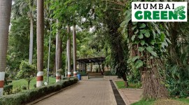 Mumbai greens (2) no alt set