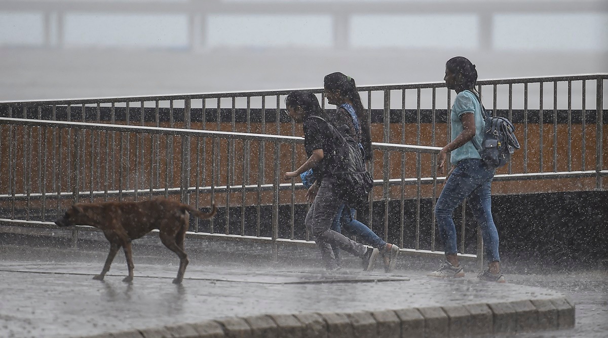 The India meteorological Centre (IMD) has issued an orange alert (heavy to very heavy rainfall) in Mumbai, Palghar, Thane, Raigad, Ratnagiri, and Sindhudurg for the next 24 hours. (File)