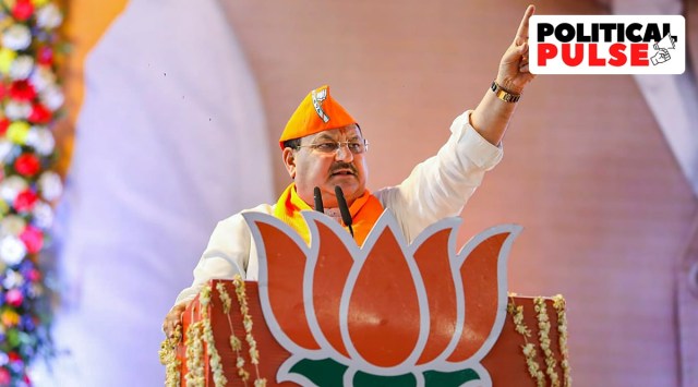 Sources in the BJP said Nadda's visit assumes significance at a time the party is trying to recover lost ground ahead of next year’s panchayat elections. (PTI/File)