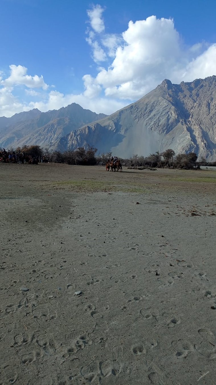 Nubra valley - Pride of Lamas