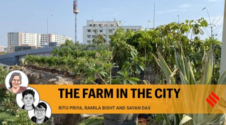 도시 농업은 도시를 지속 가능하고 살기 좋게 만드는 데 도움이 될 수 있습니다.
