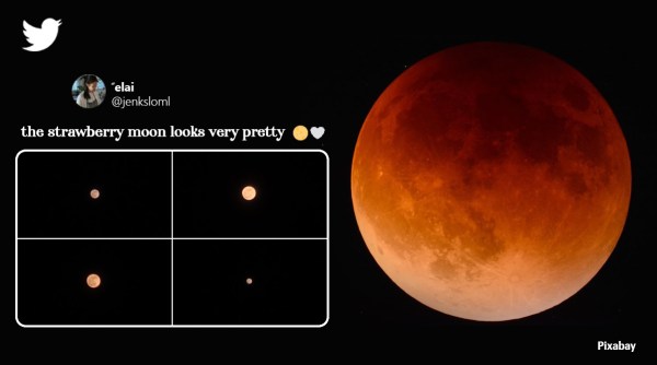 Strawberry moon, Supermoon strawberry moon, Vat Purnima, NASA strawberry moon, Indian Express