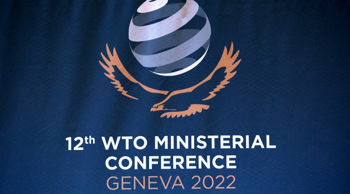 WTO provisionally agrees to extend e-commerce tariff moratorium ...
