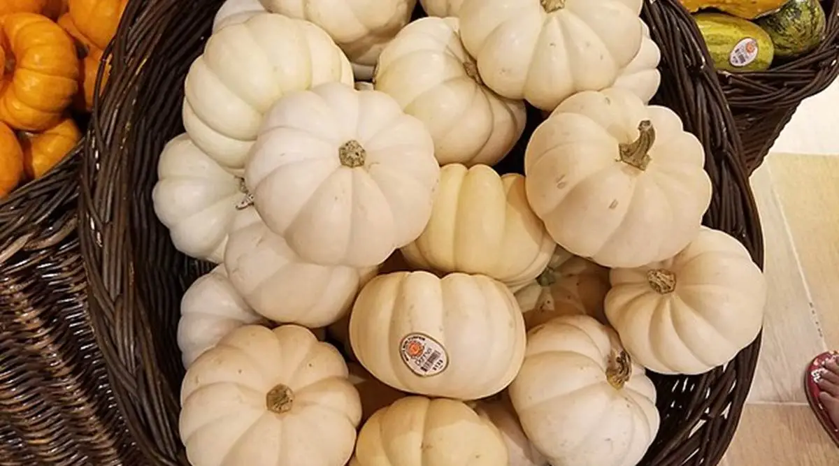 White Pumpkins Are Gorgeous  and You Can Eat Them Too  The Kitchn
