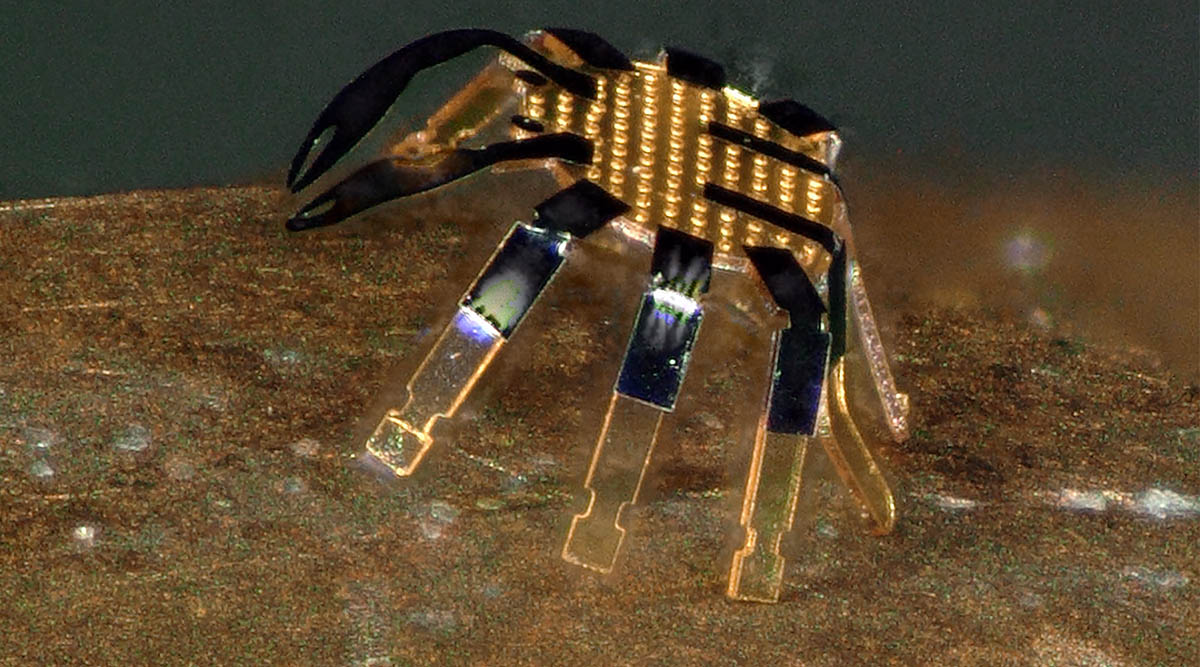 This tiny ‘crab’ is the world’s smallest remote-controlled robot