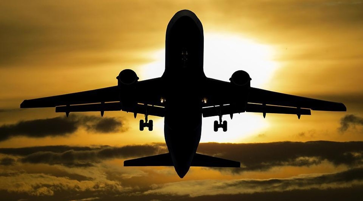 Aviation experts share actions to avert hen hits what passengers, pilots can do in an crisis