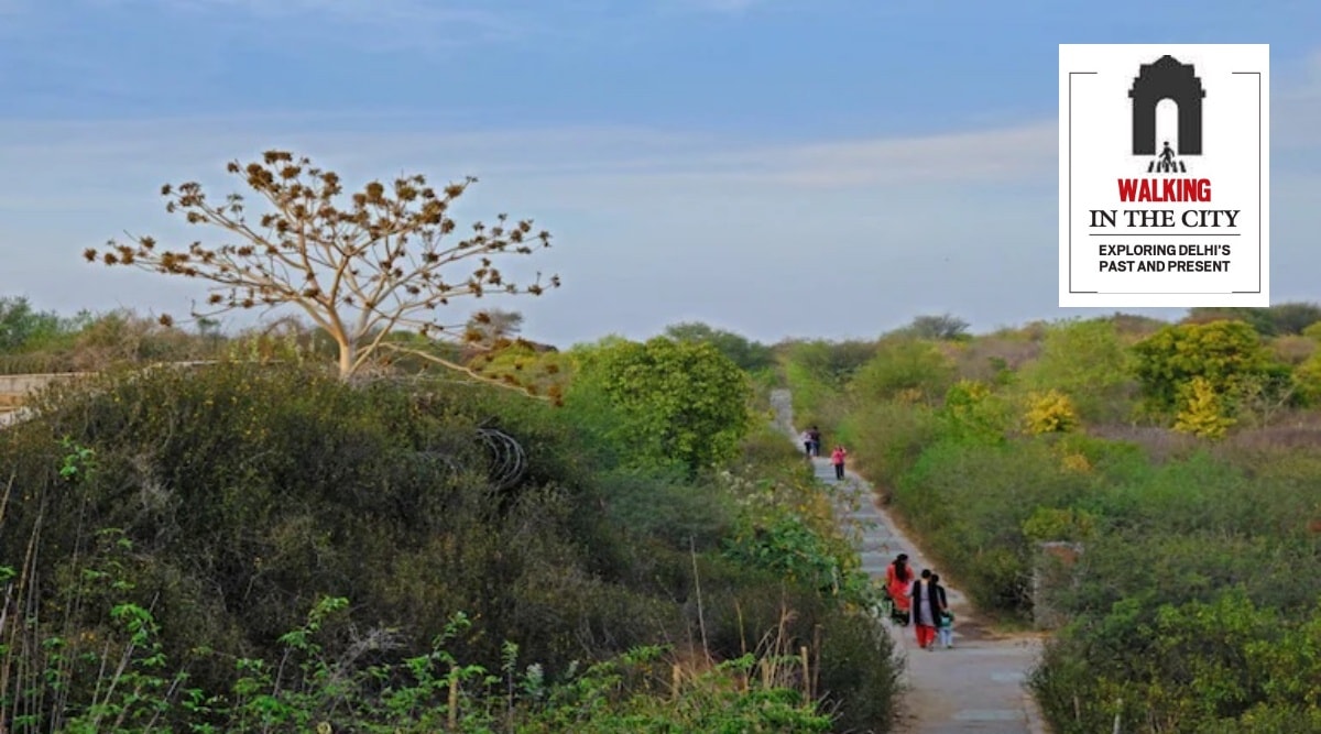 Aravalli Biodiversity Park (PTI)