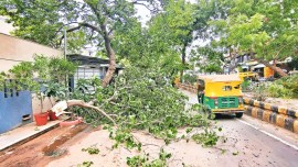 Ahmedabad, Ahmedabad news, Gujarat, Gujarat news, Indian Express, India news, current affairs, Indian Express News Service, Express News Service, Express News, Indian Express India News