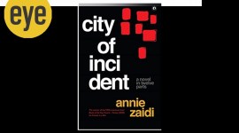 book annie zaidi_1200_amazon.in book