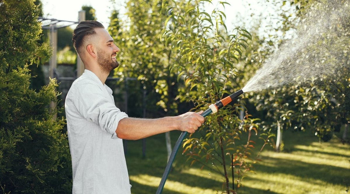 How to make your lawn wildlife friendly all year round – tips from an ecologist