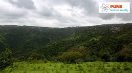 ch1309207 no alt set