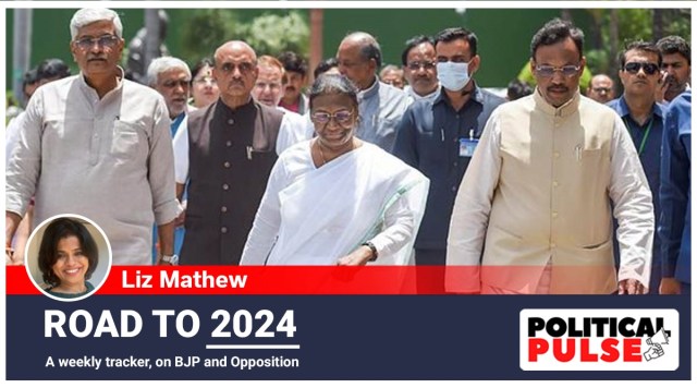 With Murmu's nomination, the BJP kills many birds with one stone. (PTI/File)