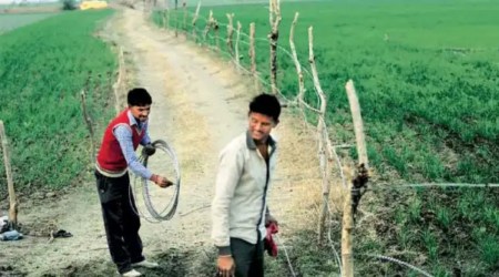 The police have registered a complaint against the agricultural field owners and have started a probe. (Representational)
