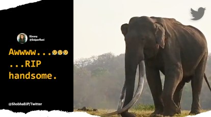 Wildlife enthusiasts pay tribute to Bhogeshwara, the elephant with the  longest tusks | Trending News,The Indian Express