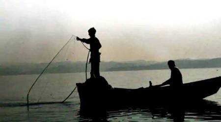 Maharashtra govt compensates 288 fishermen for releasing endangered marine species from their nets