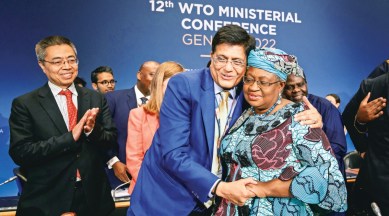 World Trade Organization, Business news, Indian express business news, Indian express, Indian express news, Current Affairs