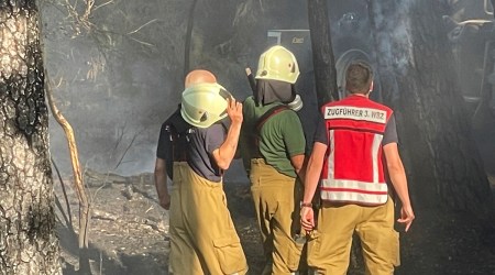 Firefighters stand in a smoky forest and watch a forest fire in Rheinsberg, Germany, June 23, 2022. (AP)