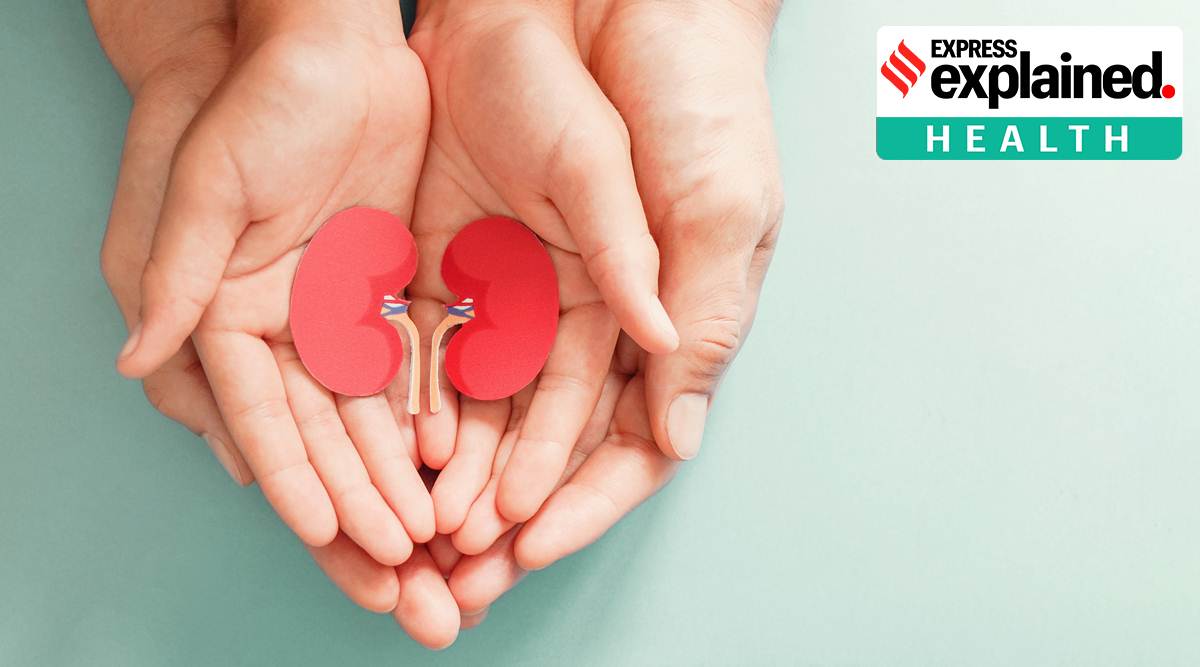 At least five such rackets have been unearthed in the last seven years, including one just last week in Pune, where documents were forged to show a donor was the wife of one of the recipients. (Source: Getty Images)