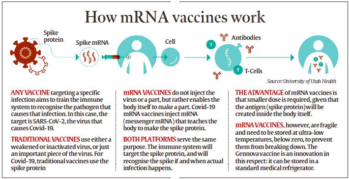 Explained: How India’s first mRNA vaccine for Covid-19 was created ...