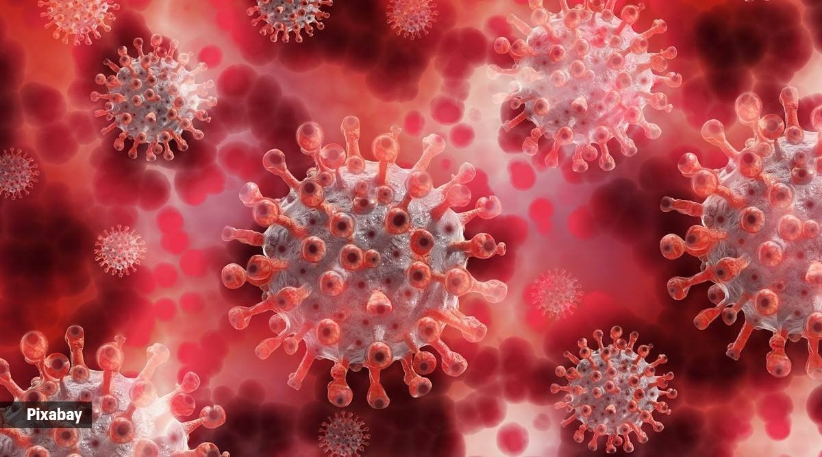 At what level is a illness deemed to be a world wide threat? Here’s the remedy