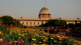 Presidential Election 2022 | Presidential Election